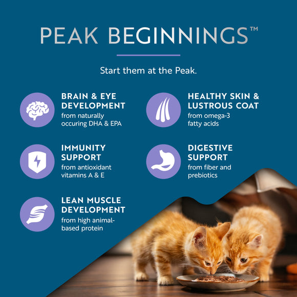 ZiwiPeak Wet Chicken with Lamb Recipe for Kittens 4