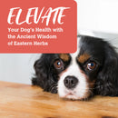 Charmy - Freeze Dried - Beef & Duck with Goji Berry (For Dogs)