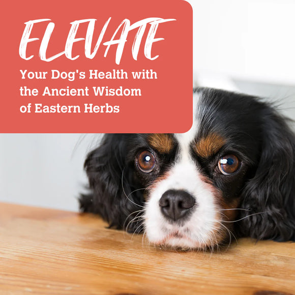 Charmy - Freeze Dried - Beef & Duck with Goji Berry (For Dogs)