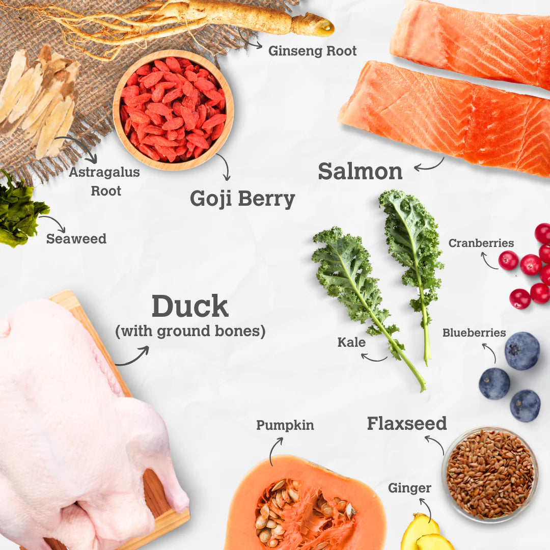 Charmy - Freeze Dried - Salmon & Duck with Ginseng (For Dogs)