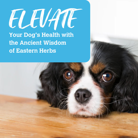 Charmy - Freeze Dried - Salmon & Duck with Ginseng (For Dogs)