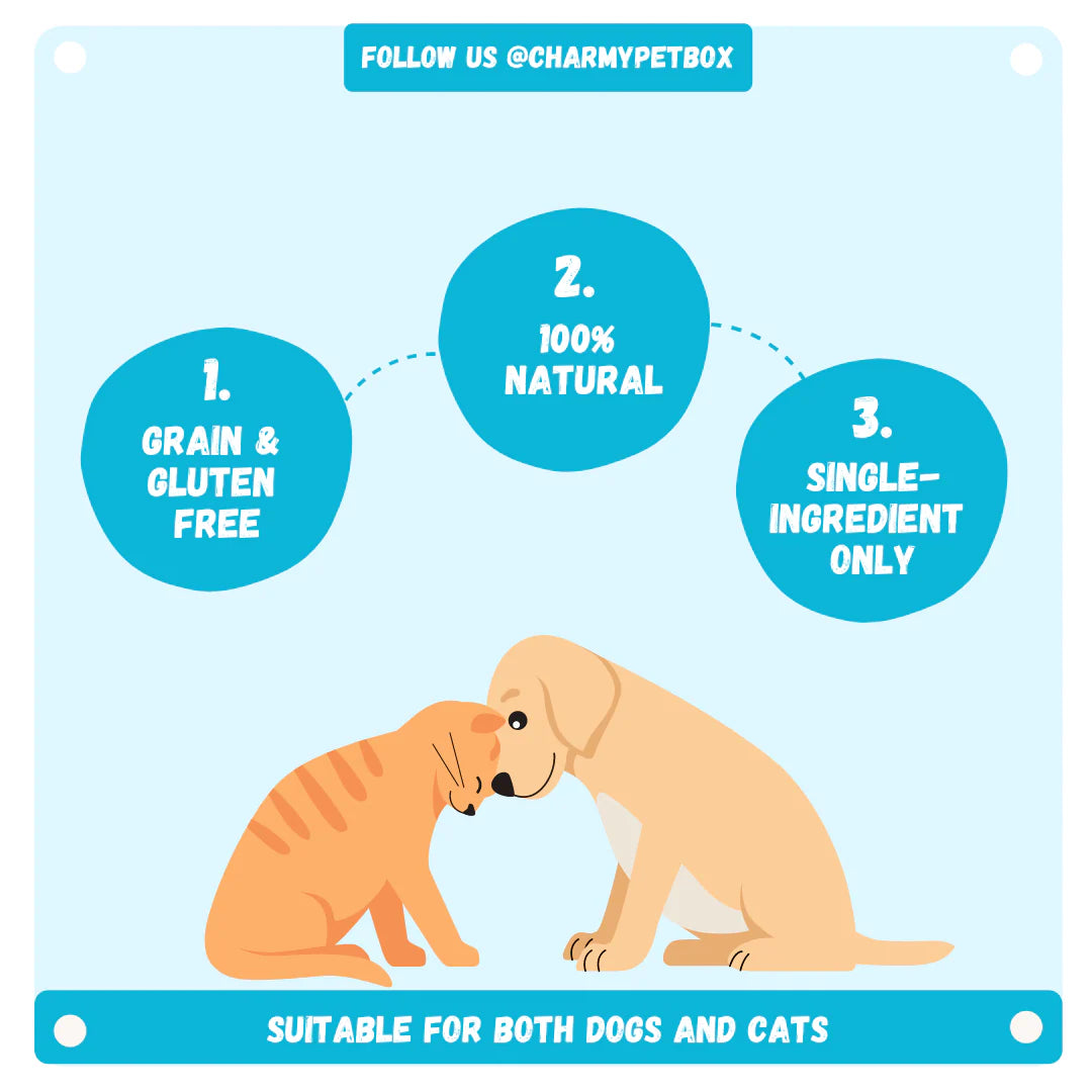 Charmy - Lake Smelt (Treats For Dogs & Cats)