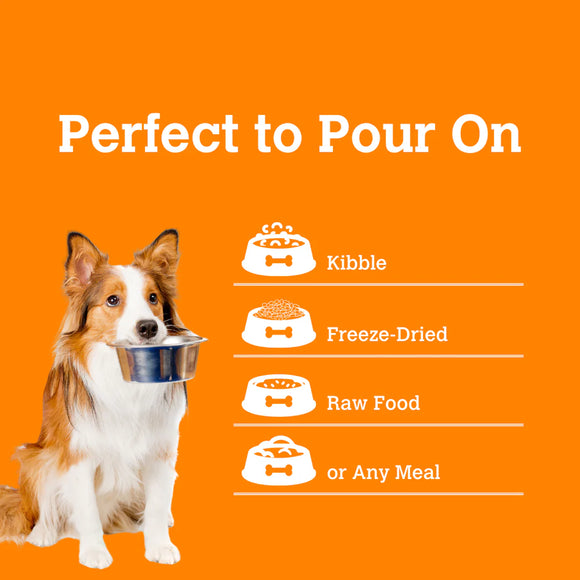 Charmy - Mushroom Bone Broth - Lion's Mane & Blueberry (For Dogs & Cats)