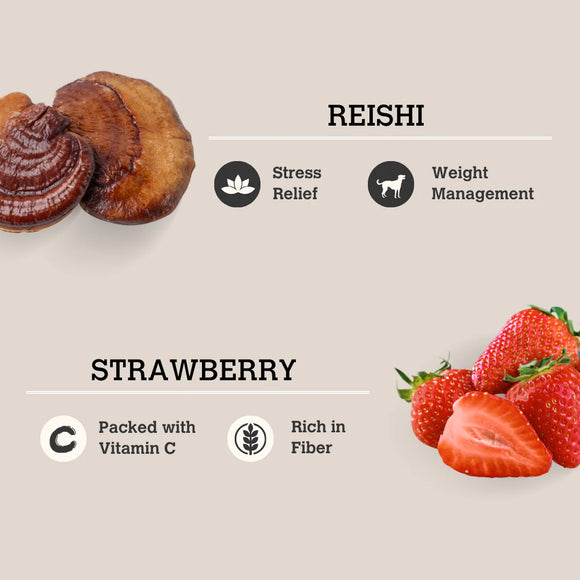 Charmy - Mushroom Bone Broth - Reishi & Strawberry (For Dogs & Cats)