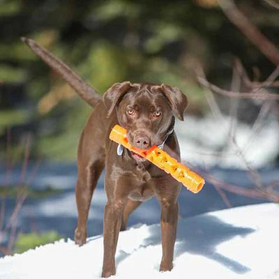 Chuckit! - Air Fetch Stick (For Dogs)