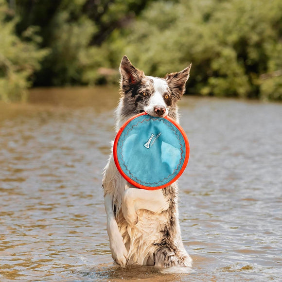 Chuckit! - Paraflight Flying Disc (Fetch & Float Toy)