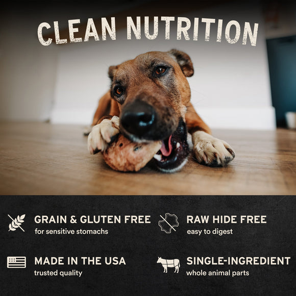 Vital Essentials Raw Bar Freeze-Dried Salmon Skin Dog Treat