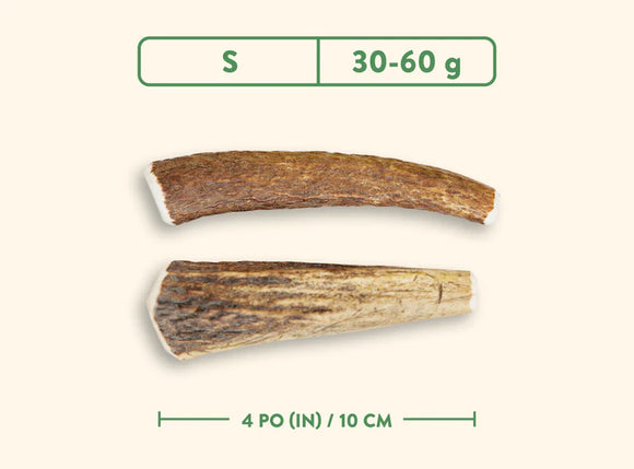 Dentler - Natural Wild Taste (Whole)