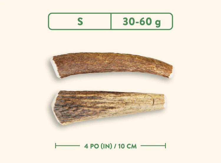 Dentler - Natural Wild Taste (Whole)