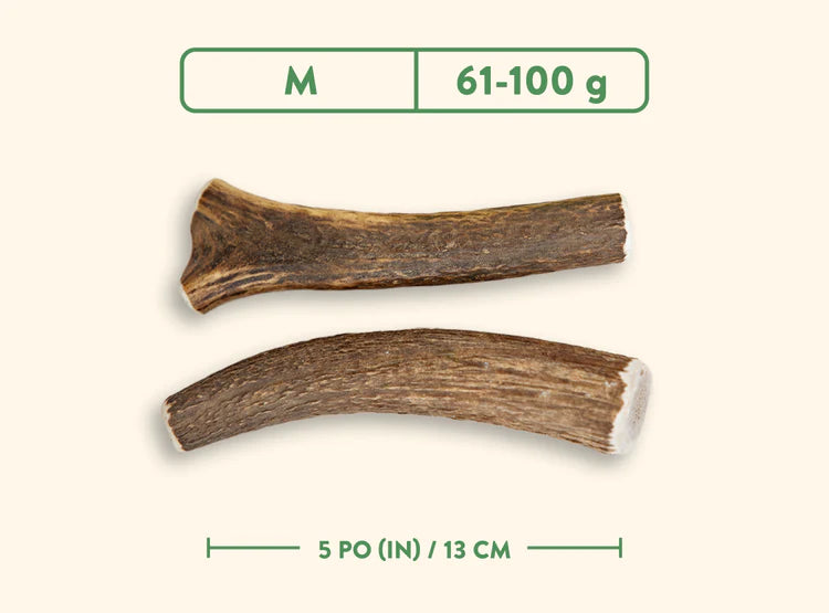 Dentler - Natural Wild Taste (Whole)