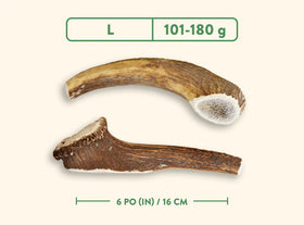 Dentler - Natural Wild Taste (Whole)