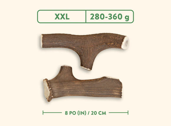 Dentler - Natural Wild Taste (Whole)