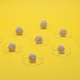 Dofu Cat - Tofu Litter