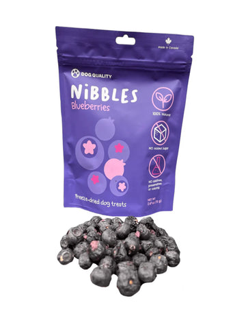 Dog Quality - Nibbles - Freeze Dried Blueberries (Dog Treats)