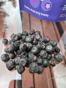 Dog Quality - Nibbles - Freeze Dried Blueberries (Dog Treats)