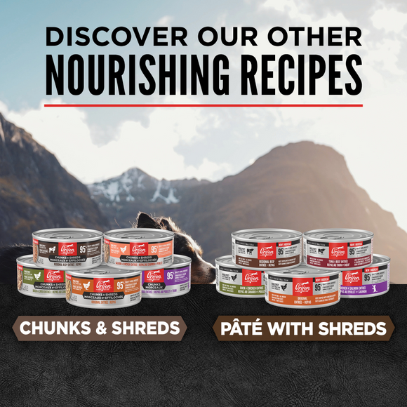 ORIJEN Chunks & Shreds Regional Red Entrée product details 2