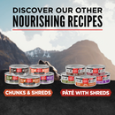 ORIJEN Chunks & Shreds Salmon & Chicken Entrée product details 2