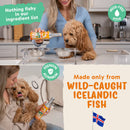Fam Pets - Icelandic Wild Caught Fish Oil (Pet Supplement) - Pour