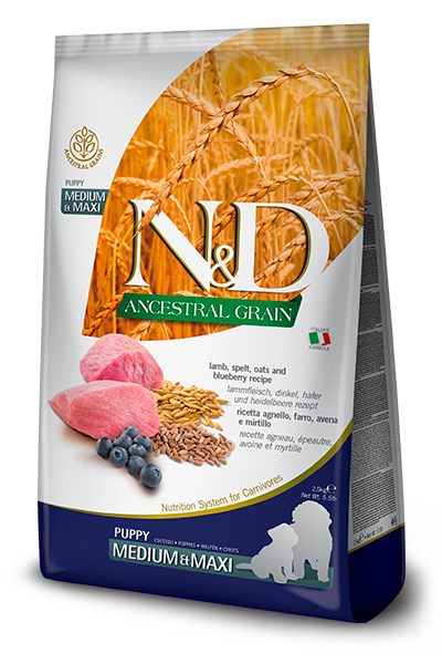 Farmina - N&D Ancestral Grain - Lamb & Blueberry Medium & Maxi (Dry Puppy Food)