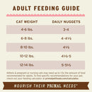 Primal - Nuggets - Raw Beef & Salmon (For Cats) - Frozen Product
