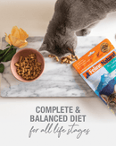 Feline Natural - Beef & Hoki Freeze-Dried Raw (Cat Food)