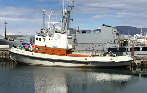 Icelandic+ - Cod & Shrimp Combo Bites Fish Dog Treats