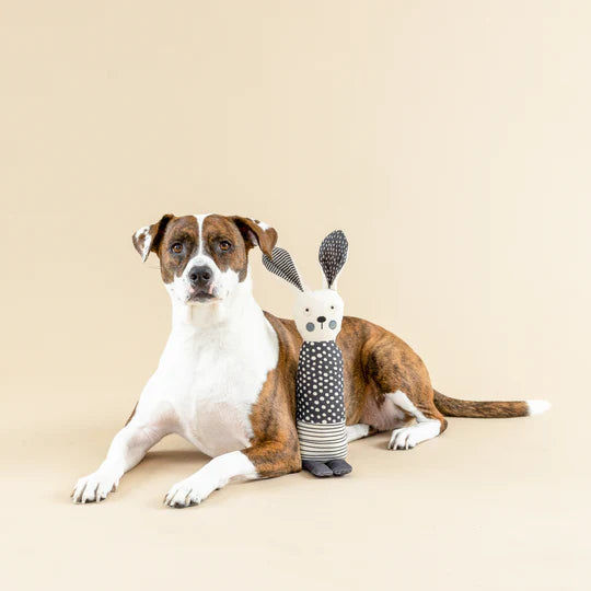 Fringe Studio - All Ears (For Dogs)