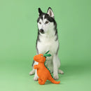 Fringe Studio - Carrot 'Bout You (For Dogs)