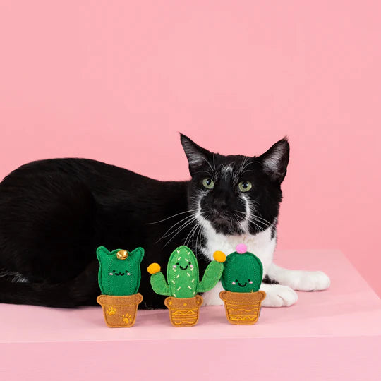 Fringe Studio - Cat-us Friends (For Cats)