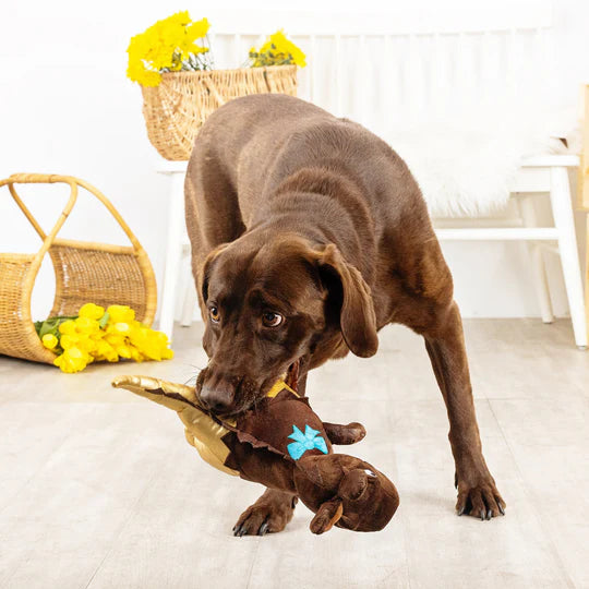 Fringe Studio - Choc-A-Sauras Rex (For Dogs)