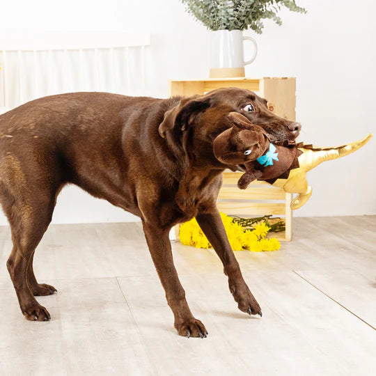 Fringe Studio - Choc-A-Sauras Rex (For Dogs)