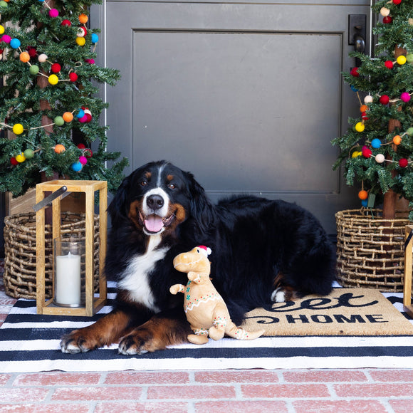 Fringe Studio - Cookie-saurus (For Dogs) 