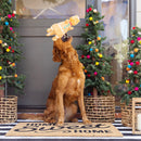 Fringe Studio - Cookie-saurus (For Dogs) 