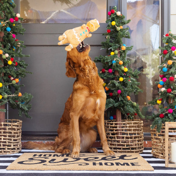 Fringe Studio - Cookie-saurus (For Dogs) 