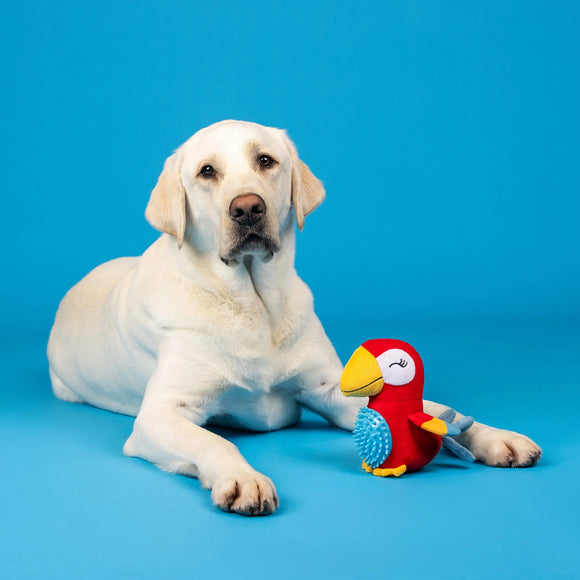 Fringe Studio - Perching Perfection Plush & Spiky Ball (Dog Toy)
