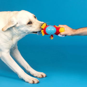 Fringe Studio - Perching Perfection Plush & Spiky Ball (Dog Toy) - 0