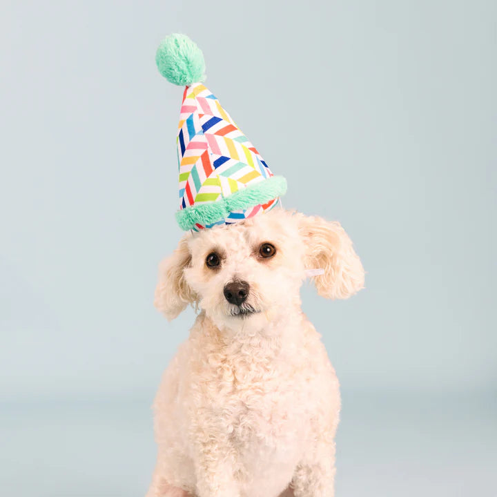 Fringe Studio - Petshop Cheers For A Barkday Dog Toy