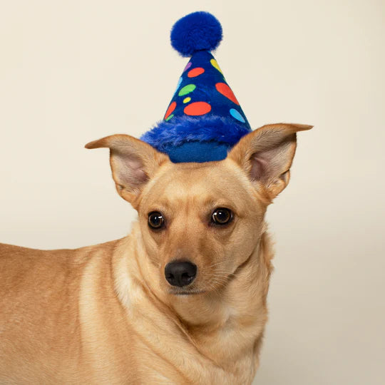 Fringe Studio - Small Party Hat (Dog Toy)