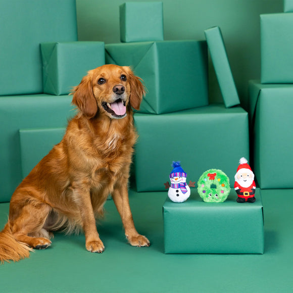 Fringe Studio - We Have Great Chemis-Tree Mini Toys - 3 Pieces (Dog Toy)