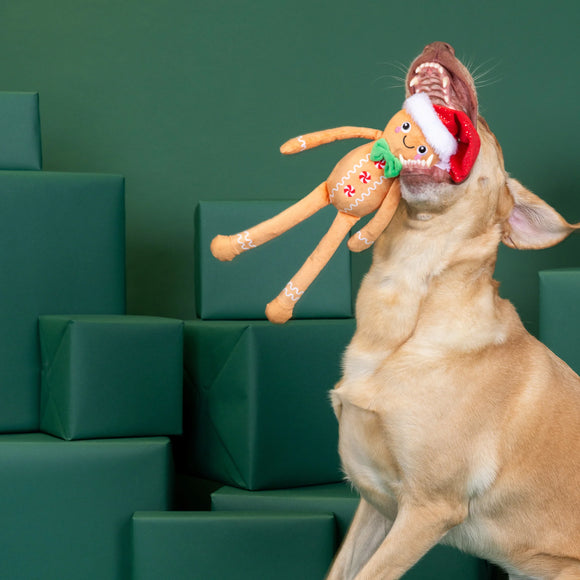 Fringe Studio - Seasons Eatings! (Dog Toy)