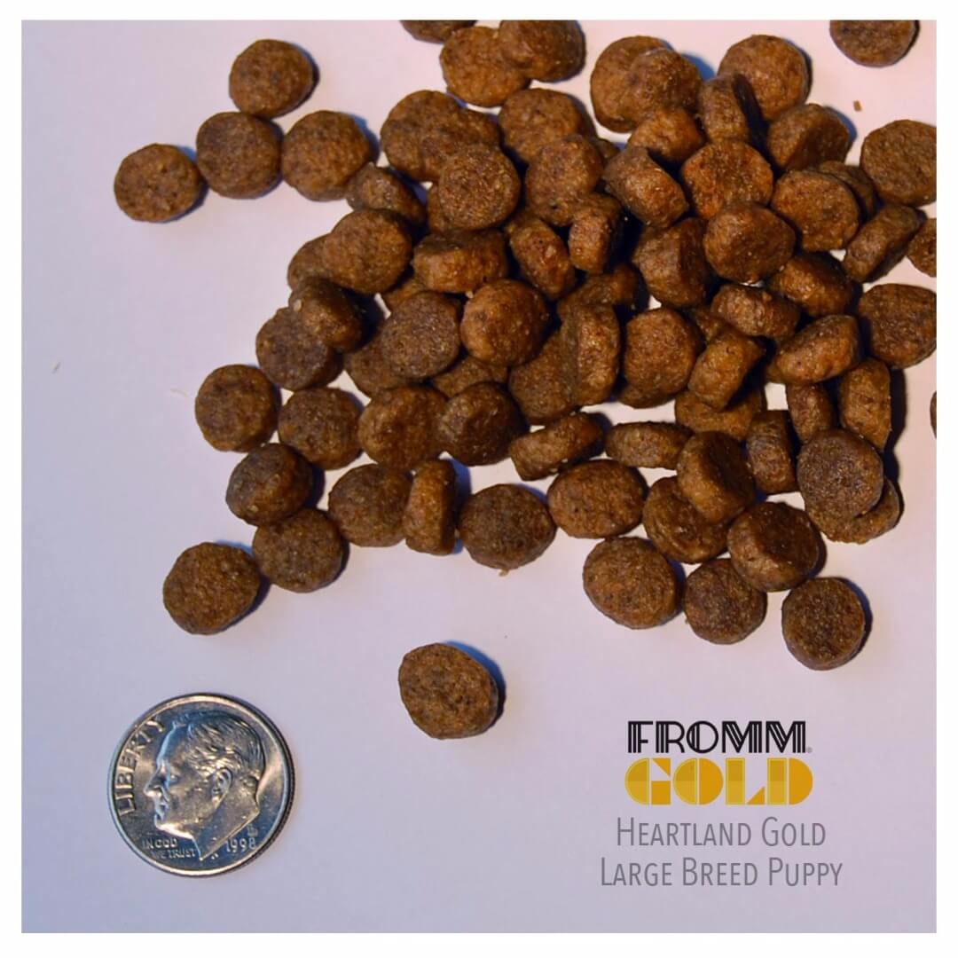 Fromm Dog Food Heartland Gold Large Breed Puppy (Dry Dog Food