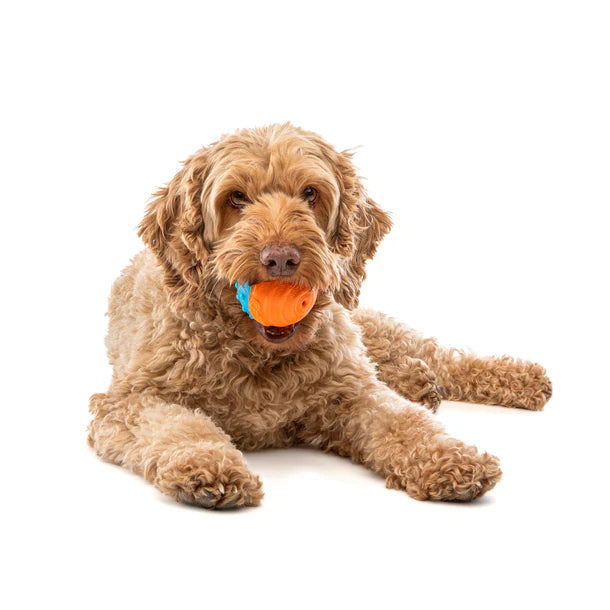 GURU - Crunch & Squeak Ball (2 Pack) (For Dogs)