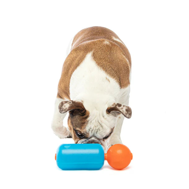 GURU - Treat Challenger (For Dogs)