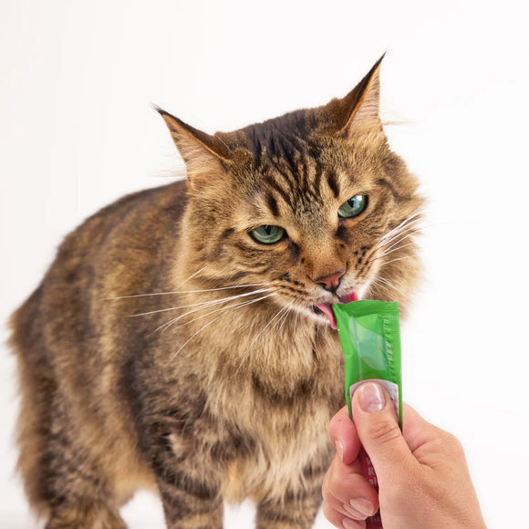 Greenies - Smart Purees - Salmon for Skin & Fur Health (For Cats)