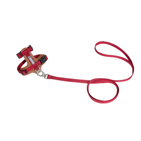 HiDREAM - Cat Harness and Leash Set
