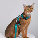 HiDREAM - Cat Harness and Leash Set-2