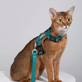 HiDREAM - Cat Harness and Leash Set - 0