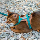HiDREAM - Cat Harness and Leash Set-3