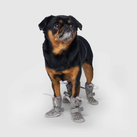 Canada Pooch Hot Pavement Boots in Grey 2
