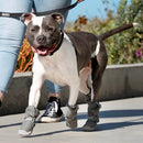 Canada Pooch Hot Pavement Boots in Grey 4